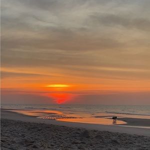 Meet your Posher, Ella